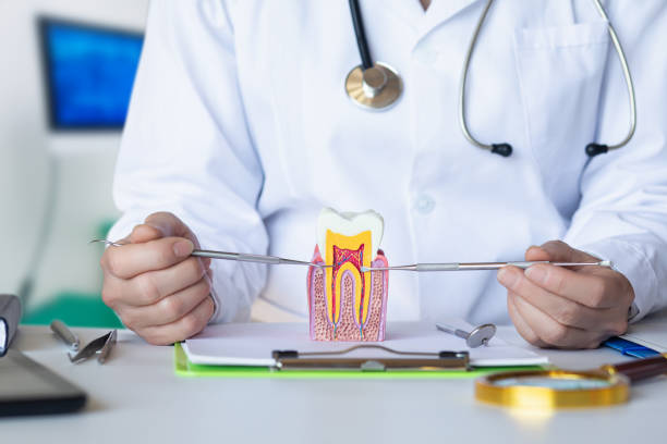 Best Emergency Dental Care for Sports Injuries in Whiskey Creek, FL